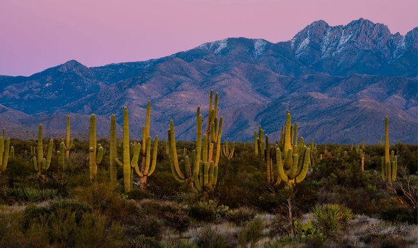 Les secrets d'une peau éclatante : des rituels de maquillage 100% naturels à adopter chez soi