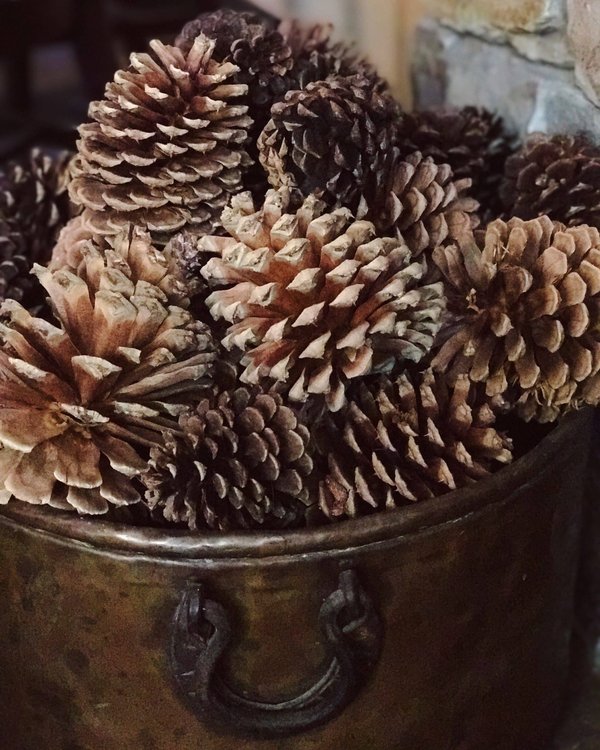 Quelles sont les dernières tendances de chemises inspirées du cinéma ?