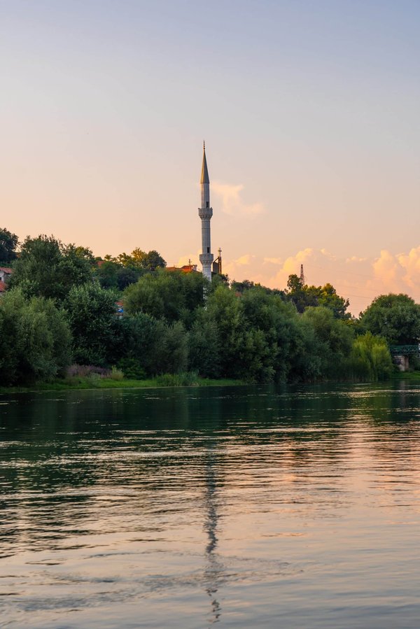 Livraison de roses éternelles : comment en faire un cadeau génial ?