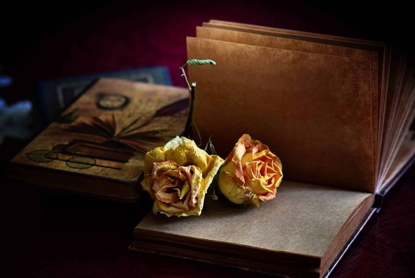 Comment choisir et appliquer un fond de teint pour peaux avec vitiligo?