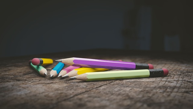 Journée franco-allemande : Quelle est son importance sur le plan éducatif ?